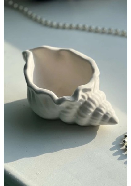 Deniz Kabuğu Mini Aksesuar Tabağı Dekoratif Beton modelleri