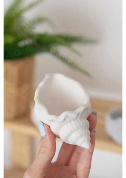 Deniz Kabuğu Mini Aksesuar Tabağı Dekoratif Beton fırsatları