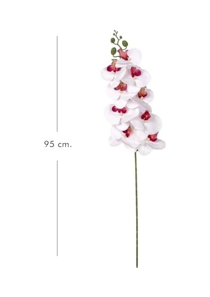 Yapay Orkide Gerçek Dokunuş Beyaz-Mor 95 Cm. fiyatları