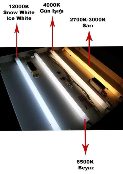 Master Tl-D 18W Snow Whıte Floresan Ampul fırsatları