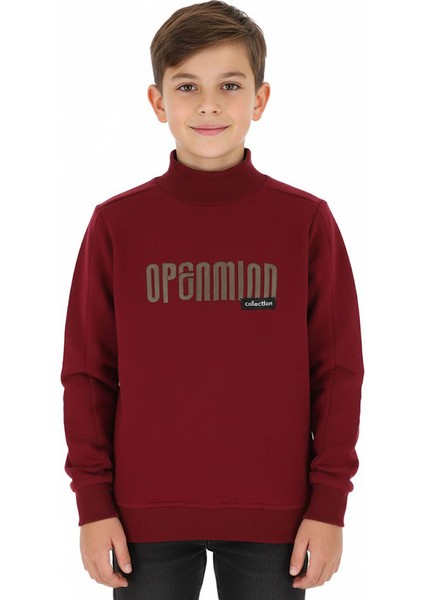 Erkek Çocuk Sweatshirt Baskılı Kışlık Şardonlu
