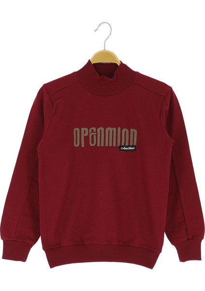 Erkek Çocuk Sweatshirt Baskılı Kışlık Şardonlu fiyatları