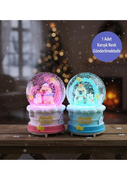 Büyük Boy Işıklı Müzikli Capybara Kar Küresi fiyatları