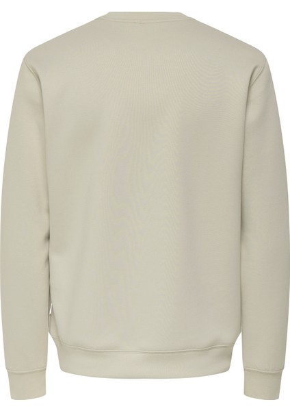 O Yaka Ekru Erkek Sweatshırt Onsluca Lıfe Reg Ls Crew Sweat fiyatları