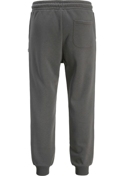 Normal Gri Erkek Eşofman Altı 12249274_JPSTGORDON Bradley Sweat P