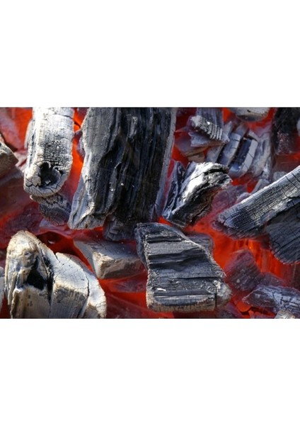 10 kg Portakal Mangal Kömürü, Kolay Yanan Kömür, Adana Kebapçılarının Tercihi fiyatları