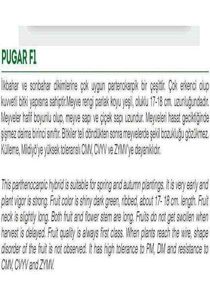 Tarım Hibrit Asma Salatalık Pugar-F1 10 Adet Tohum fiyatları