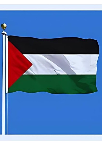 Bayrak Filistin 30X45CM Elde Sallama Bayrağı Sopalı fiyatları