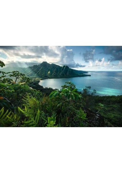 Yapboz 16106 - Çarpıcı Hawaii - 5000 Parça Yapboz Yetişkinler ve 14 Yaşından Büyük Çocuklar Için modelleri