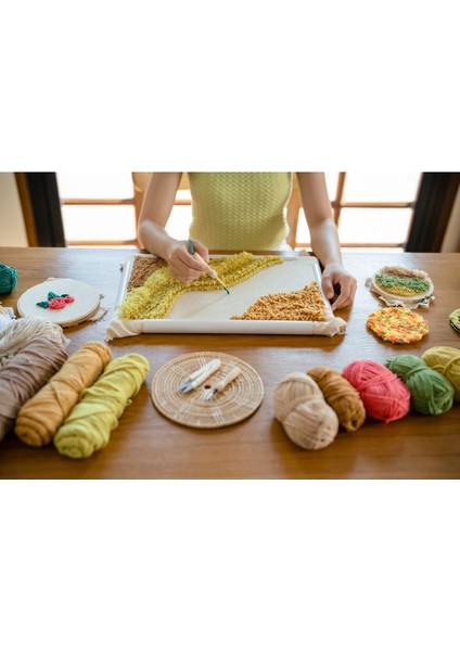 Punch Seti Nakış Seti Kasnaklı Kendin Yap Seti Seri 5 fiyatları