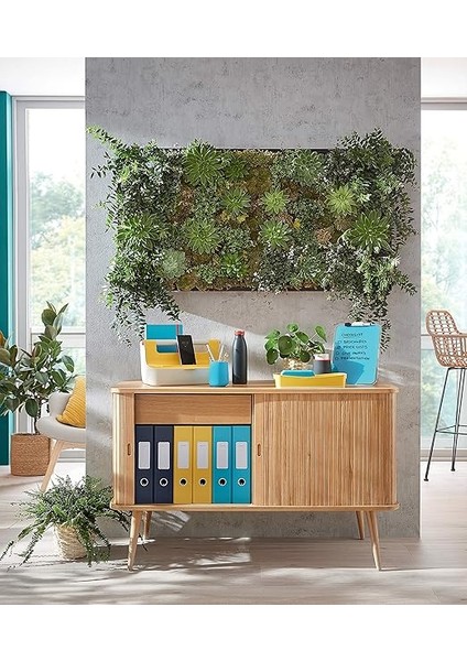 Cosy 1-12 Yazdırılabilir Separatör Pp indirimleri