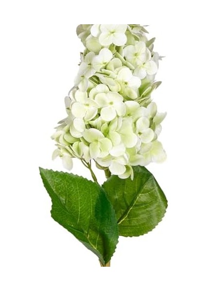 Ortanca Açık Yeşil 70 Cm. fiyatları