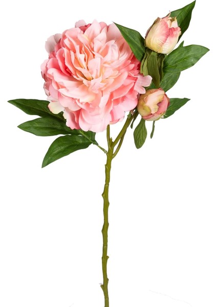 Yapay Şakayık Pembe 65 Cm.