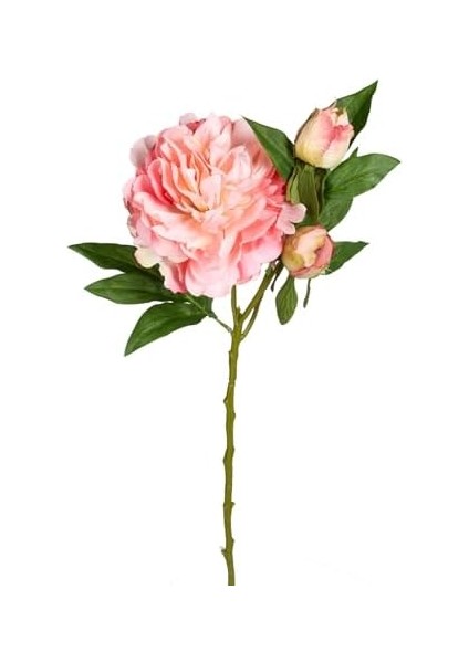 Yapay Şakayık Pembe 65 Cm. fiyatları