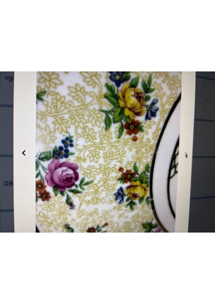 32 cm Çapında Fransız Porselen Tepsi