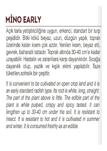 Tarım Doğal Beyaz Uzun Turp Mino Early 500 Adet Tohum fiyatları