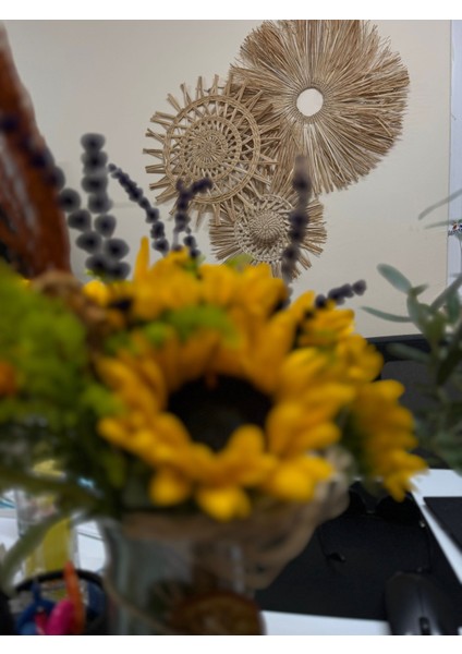 Lüks Bohem Rattan Bambu Hasır Duvar Süsü 3'lü