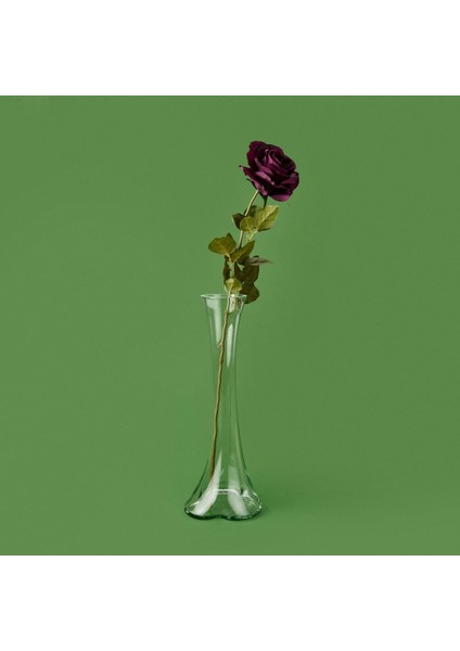 Time Pastel Dal Gül - Asorti - 70 cm