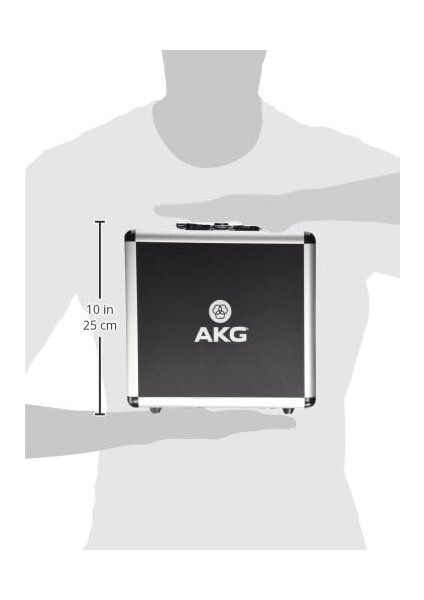 P220 Geniş Diyaframlı Stüdyo Kaayıt Mikrofonu indirimleri