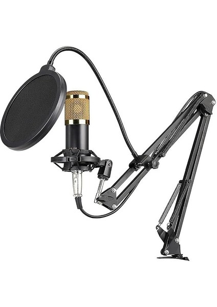 Profesyonel Kondenser Mikrofon Podcast Canlı Yayın Ekipmanı USB Mıc Mikrofon Seti Kol Standlı Stüdyo Mikrofonu Stüdyo Canlı Kayıt ve Yayın Için Müzik Kayıt Ekipmanı