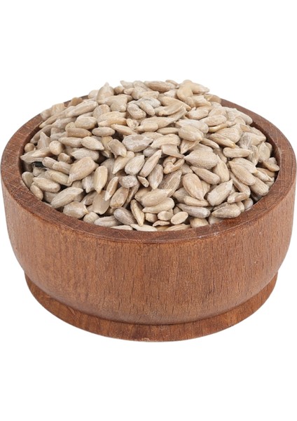 Ay Çekirdeği İçi modelleri