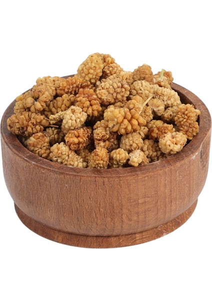 Dut Kurusu modelleri