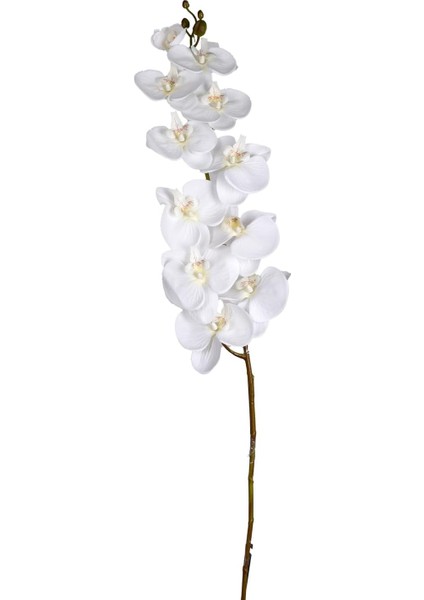 Çiçek Orkide Beyaz 115 Cm.