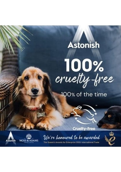 Astonish Çok Amaçlı Temizleyici Sprey 750 ml modelleri