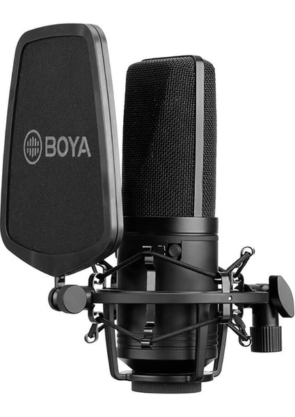 BY-M1000 Stüdyo Mikrofonu, Standart