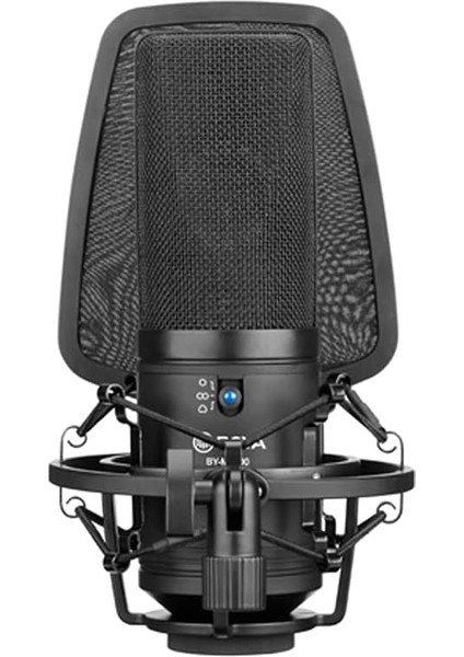 BY-M1000 Stüdyo Mikrofonu, Standart modelleri