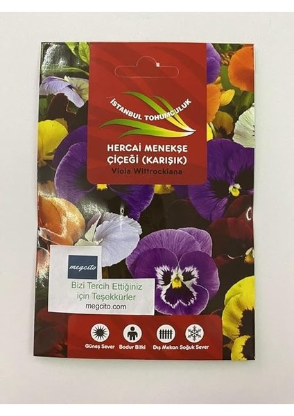Hercai Menekşe (Çoklu Tohum) - 100 Tohum - Karışık Renk modelleri