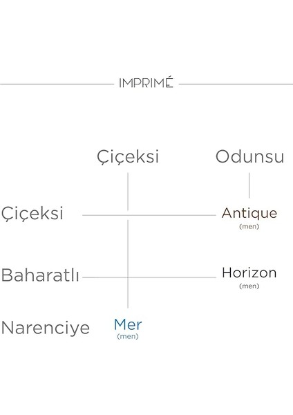 Mini Parfüm Erkek Deneme Seti 3 x 2 ml (Mer I Antique I Horizon) fırsatları