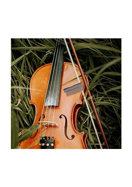 Demir Yay Saç Tarağı Keman Yay Bakım Tarağı 84 Küçük Kompakt Keman Yay Bakımı Için indirimleri