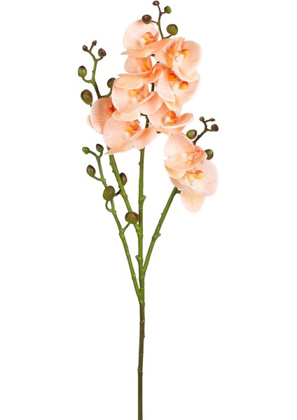 Orkide Gerçek Dokulu Somon 80 Cm.