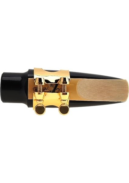 Alto Sax Ağızlık Seti, Profesyonel Alto Saksafon Ağızlık Kiti, Kapaklı Metal Toka Kamış Pedleri Müzik Aletleri Alto Saksafon Değiştirme Için modelleri