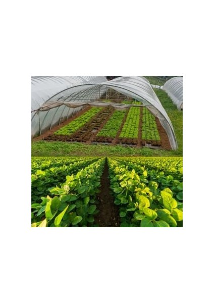 Sebze Için, Organik Gübre, Organik Sertifikalı, Kök Geliştirici, Toprak Düzenleyici, Bitki Besleyici 25 kg (1) fırsatları