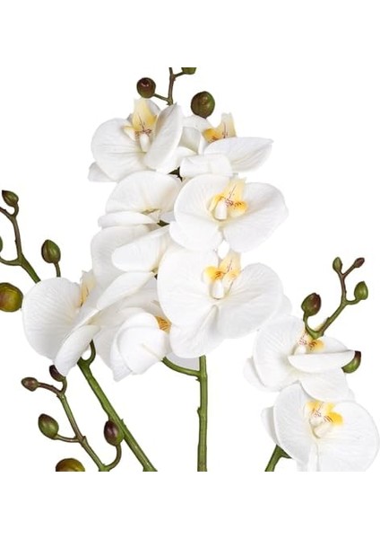 Orkide Gerçek Dokulu Beyaz 80 Cm. modelleri