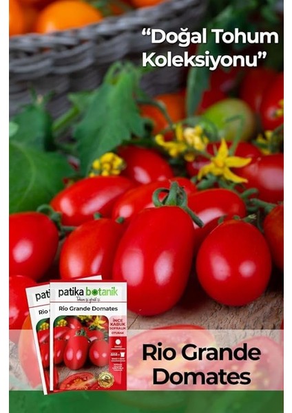 Botanik 200 Adet Rio (Bursa, Salçalık) Domates Tohumu