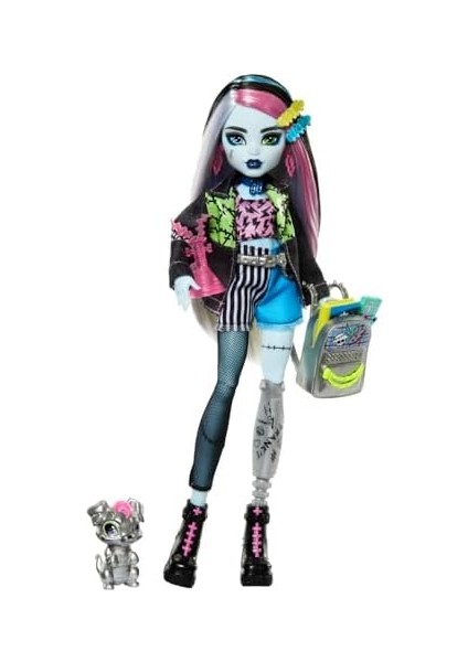 Acayip Havalı Arkadaşlar - Frankie Stein, 3y+, HXH73 modelleri