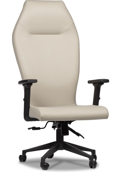 Spectra Yönetici Ofis Koltuğu – Ergonomik Çalışma Sandalyesi (Ayarlanabilir Kollar ve Yükseklik Mekanizması)