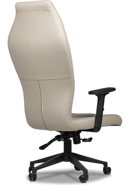 Spectra Yönetici Ofis Koltuğu – Ergonomik Çalışma Sandalyesi (Ayarlanabilir Kollar ve Yükseklik Mekanizması) modelleri