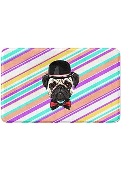 Sevimli Tasarımlı Mikrofiber Paspası, Kaymaz Taban, Yıkanabilir (246_BPSM, 2'li Takım 40X60_50X80) modelleri