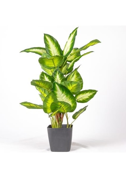 Yapay Bitki Rohdea Gerçek Dokulu 32 Yaprak Yeşil-Beyaz 70 Cm. fiyatları