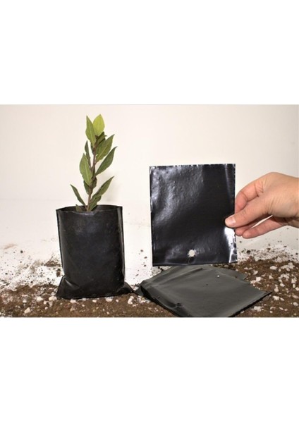 Fide Poşeti 11X13 cm 20 Adet Fide Torbası Fidan Poşeti Fidan Torbası fiyatları