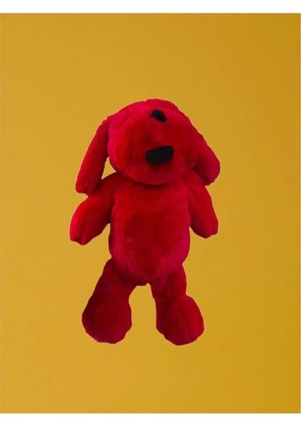 Sevgiliye Özel Salaş Köpek Hediye Özel Tasarım - 35 cm
