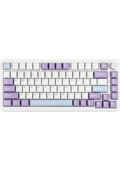 AK820 Max He Hall Effect Manyetik Switch Kablolu Oyun Klavyesi 8000Hz Mor Beyaz