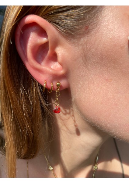 Yakut Zirkon Sallantılı Gold Çelik Küpe modelleri