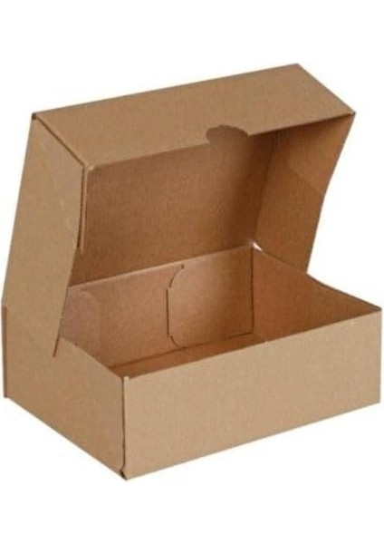 Karton Kargo Kutusu Ultra Kaliteli 24X20X11-2 Desi (10 Adet)