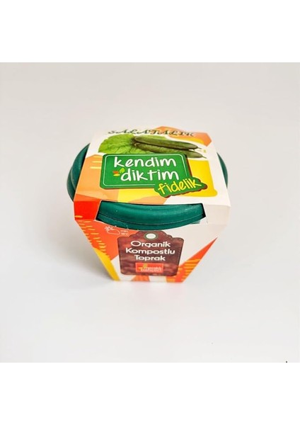 Bahçeci - Kendim Diktim Mini Saksıda Fidelik Dikim Seti - Salatalık