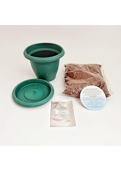 Bahçeci - Kendim Diktim Mini Saksıda Fidelik Dikim Seti - Salatalık modelleri